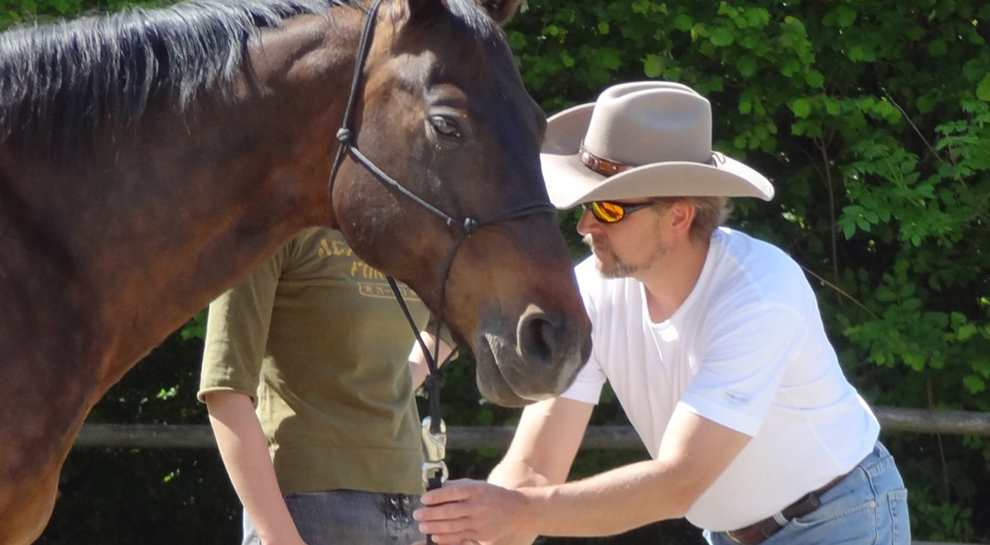 Horse_in_Harmony_Horsemanship_Trainer_Sueddeutschland