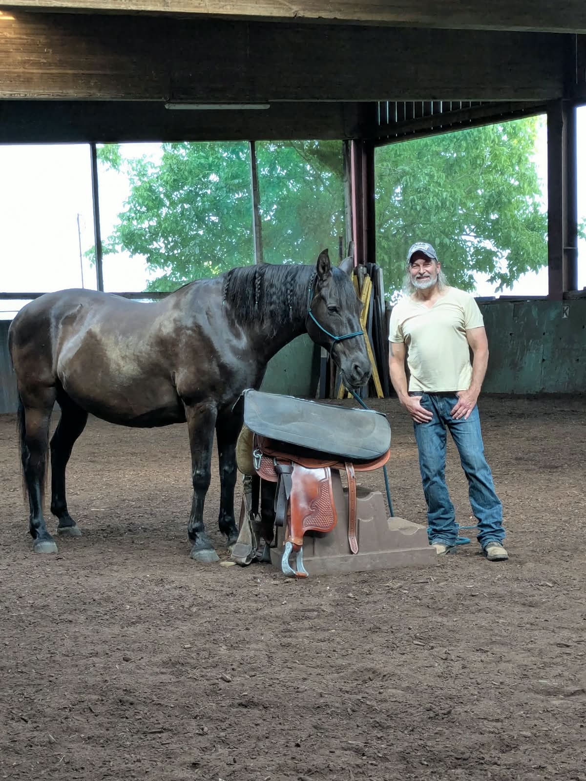 Pferd_Verladen_Haengertraining